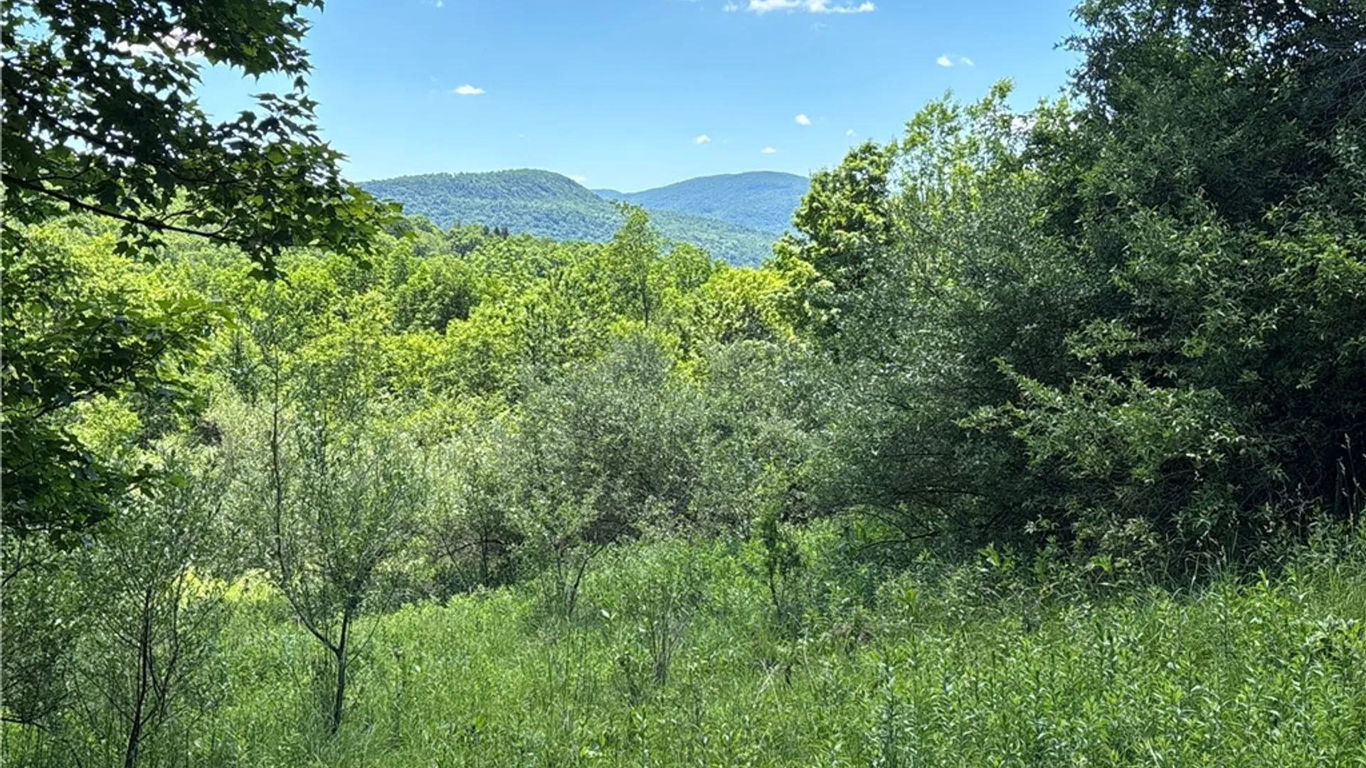 Property at 2636 Murphy Hill Road, Andes, NY 13731 18