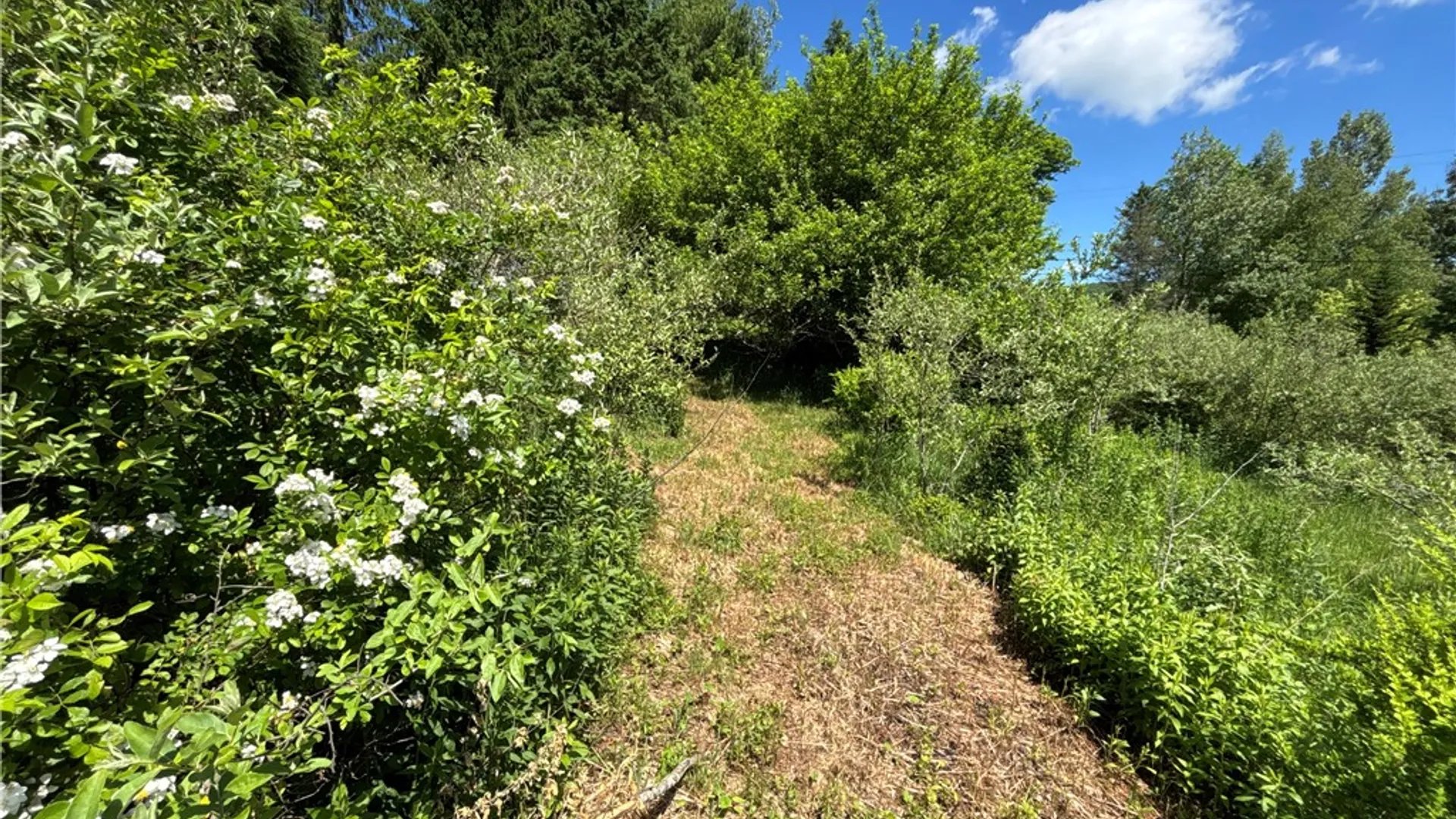 Property at 2636 Murphy Hill Road, Andes, NY 13731 21