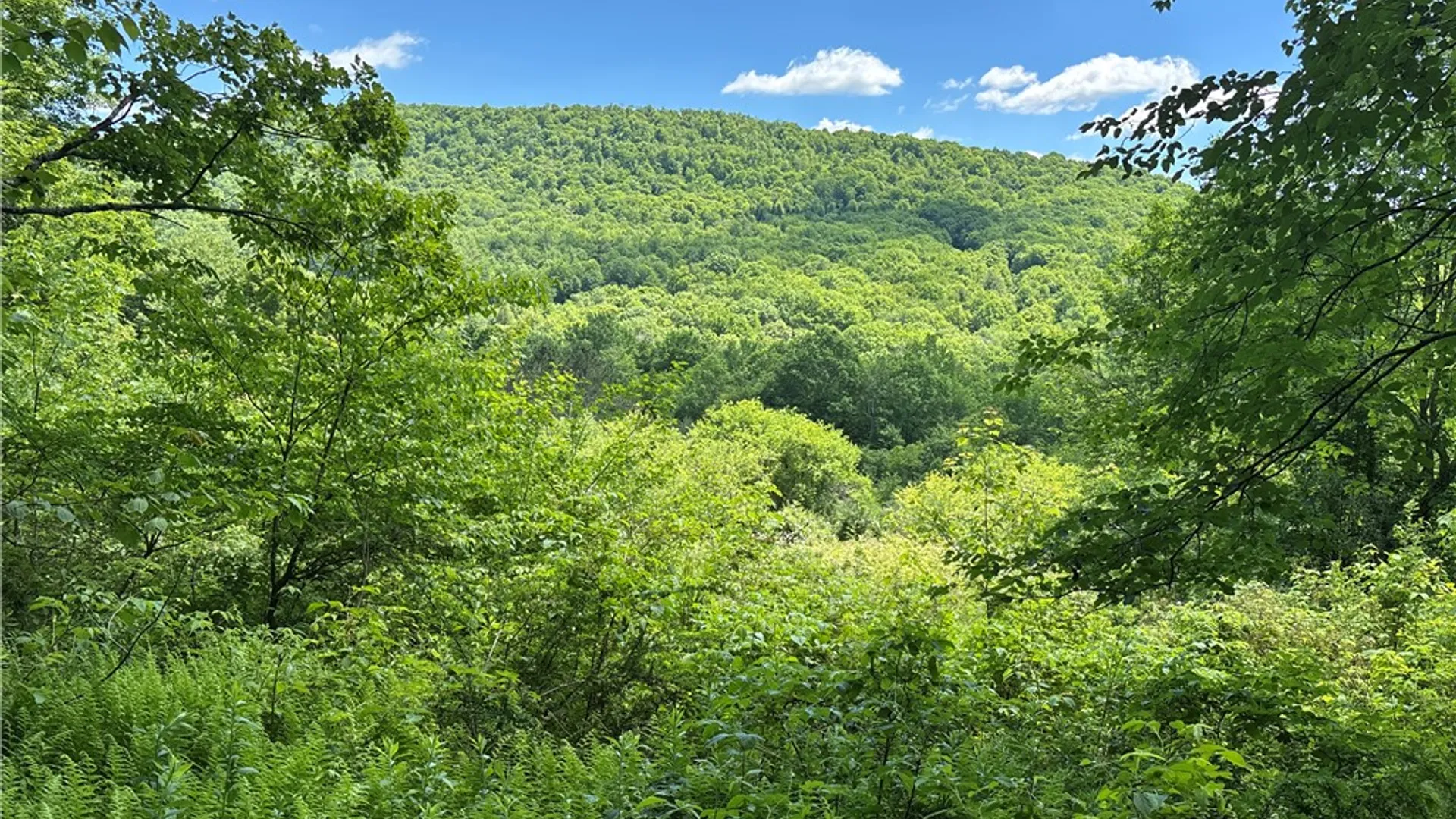 Property at 2636 Murphy Hill Road, Andes, NY 13731 22