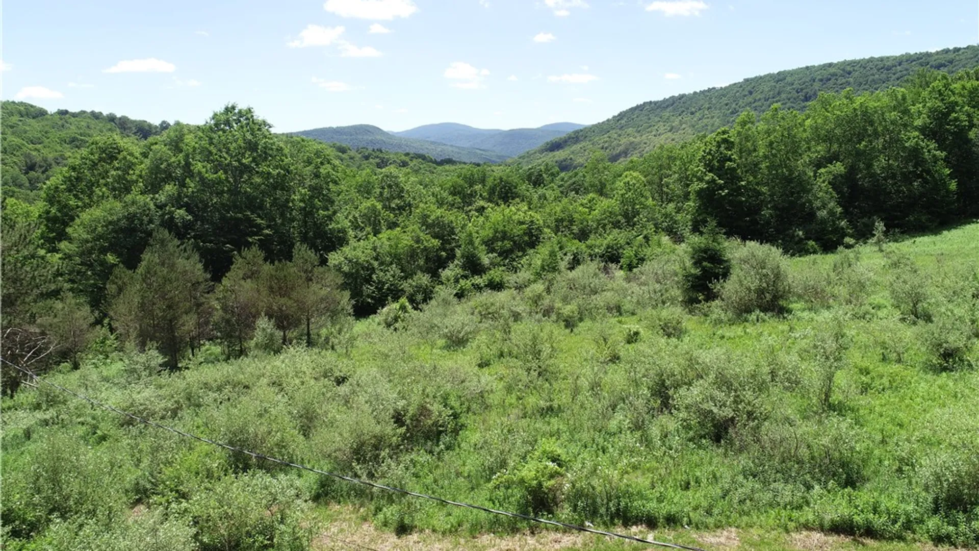 Property at 2636 Murphy Hill Road, Andes, NY 13731 3