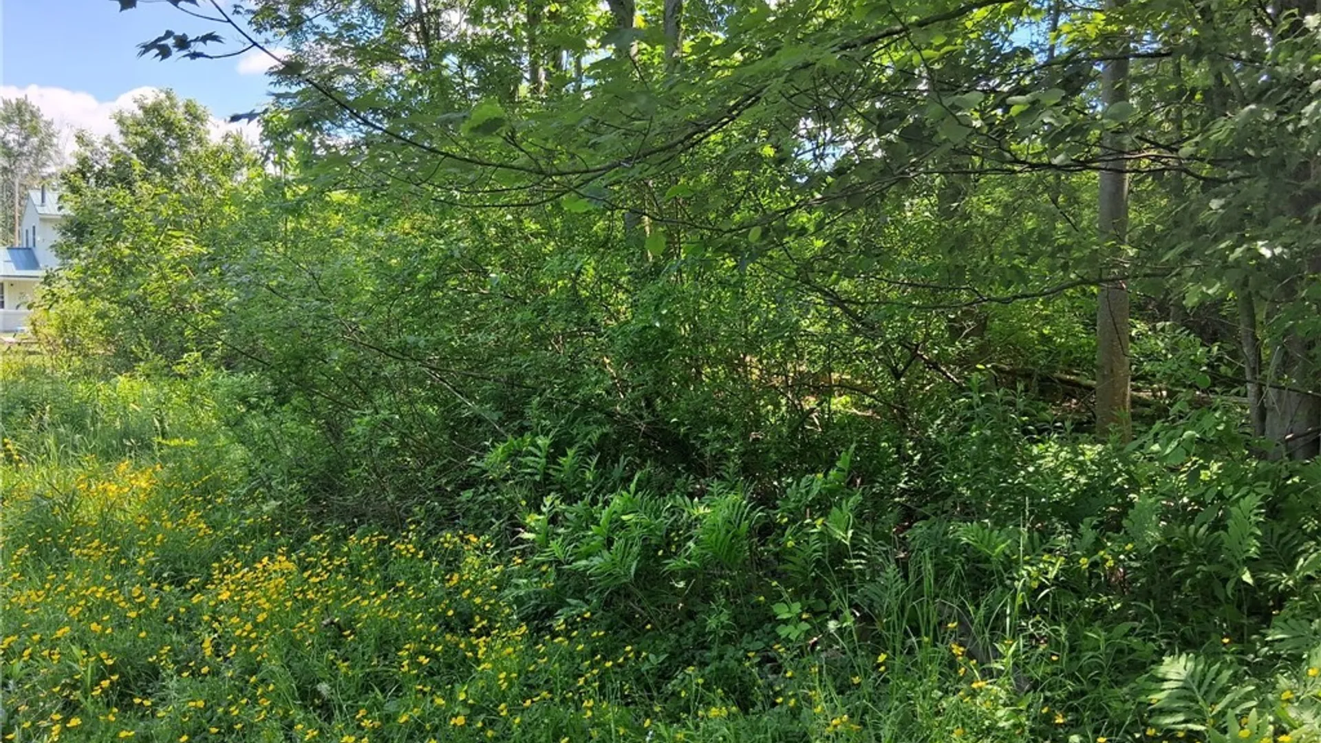 Property at 475 Kennedy Avenue, Evans, NY 14006 10