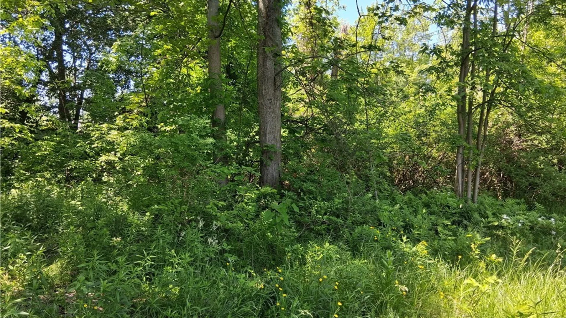 Property at 475 Kennedy Avenue, Evans, NY 14006 9