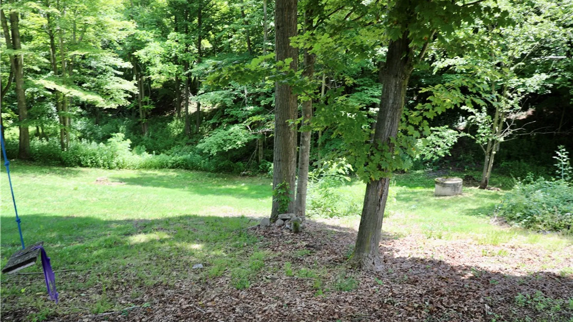 Property at 14030 Cosgrove Road, Sterling, NY 13156 43