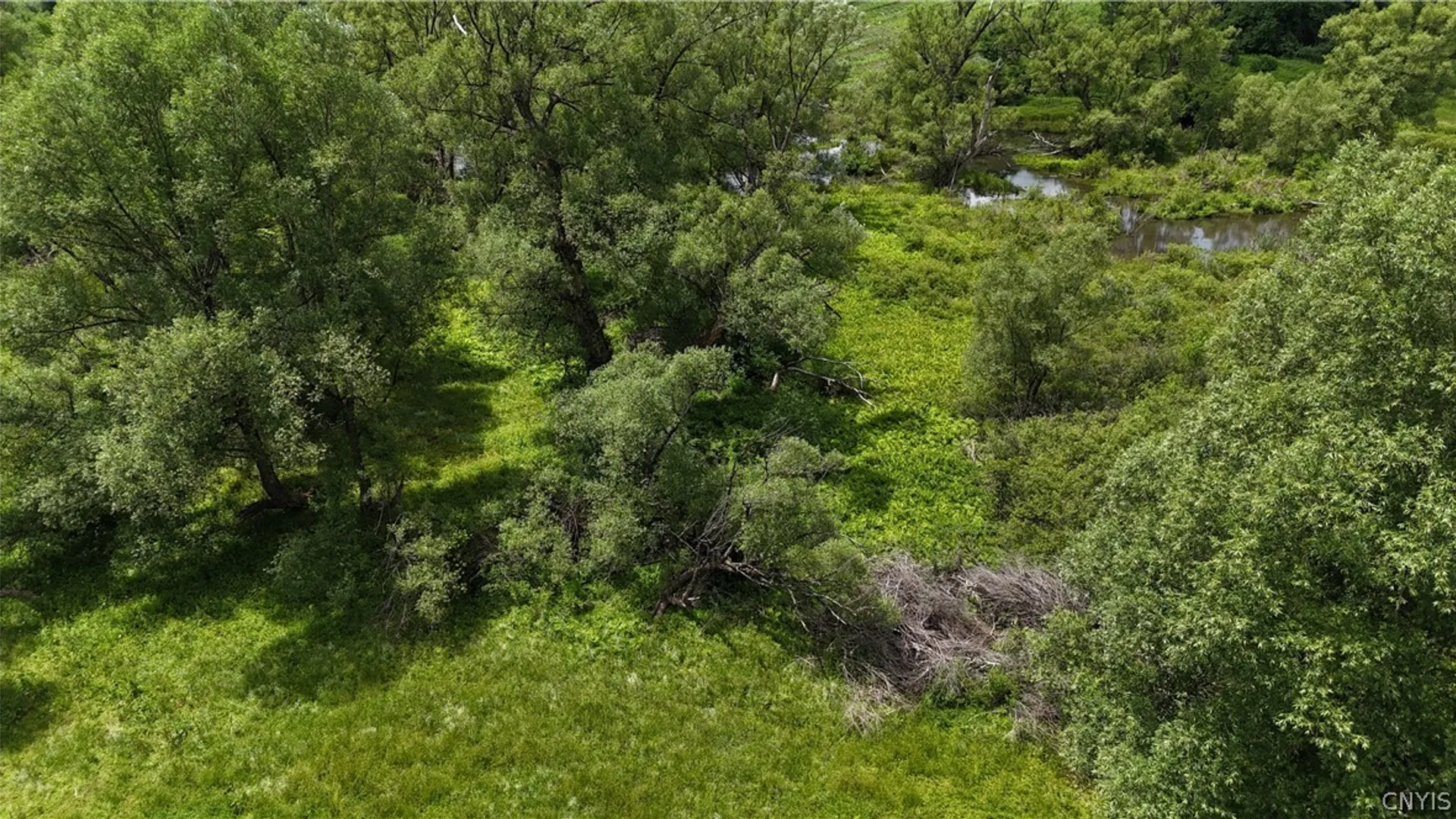 Property at 0 E Lake Road, Madison, NY 13346 11