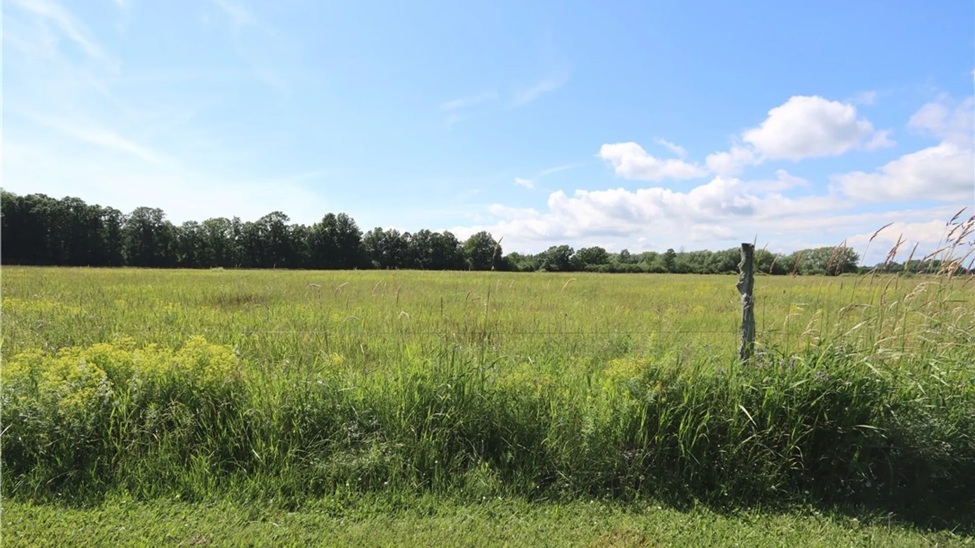 Property at 25565 County Route 32, Pamelia, NY 13616 6