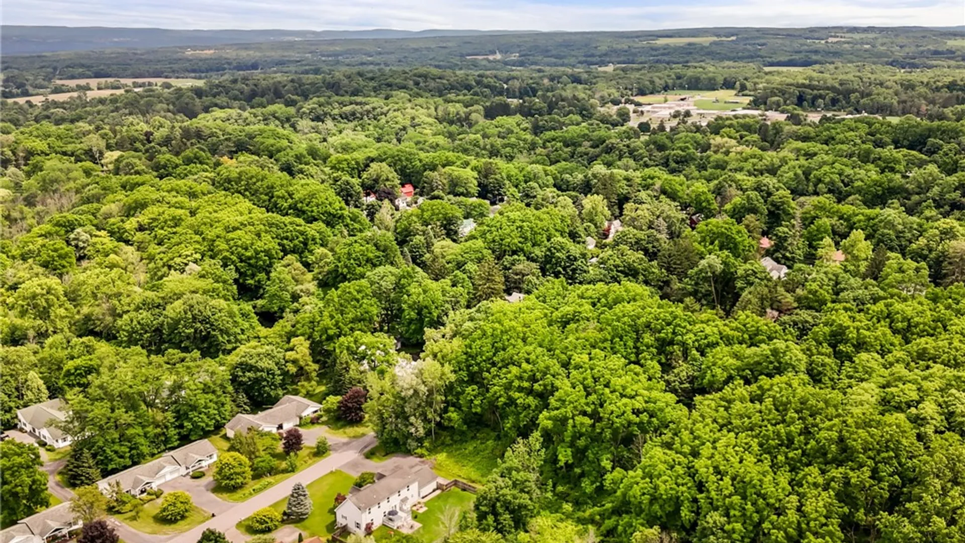 Property at 17 Prospect Street, Ulysses, NY 14886 39