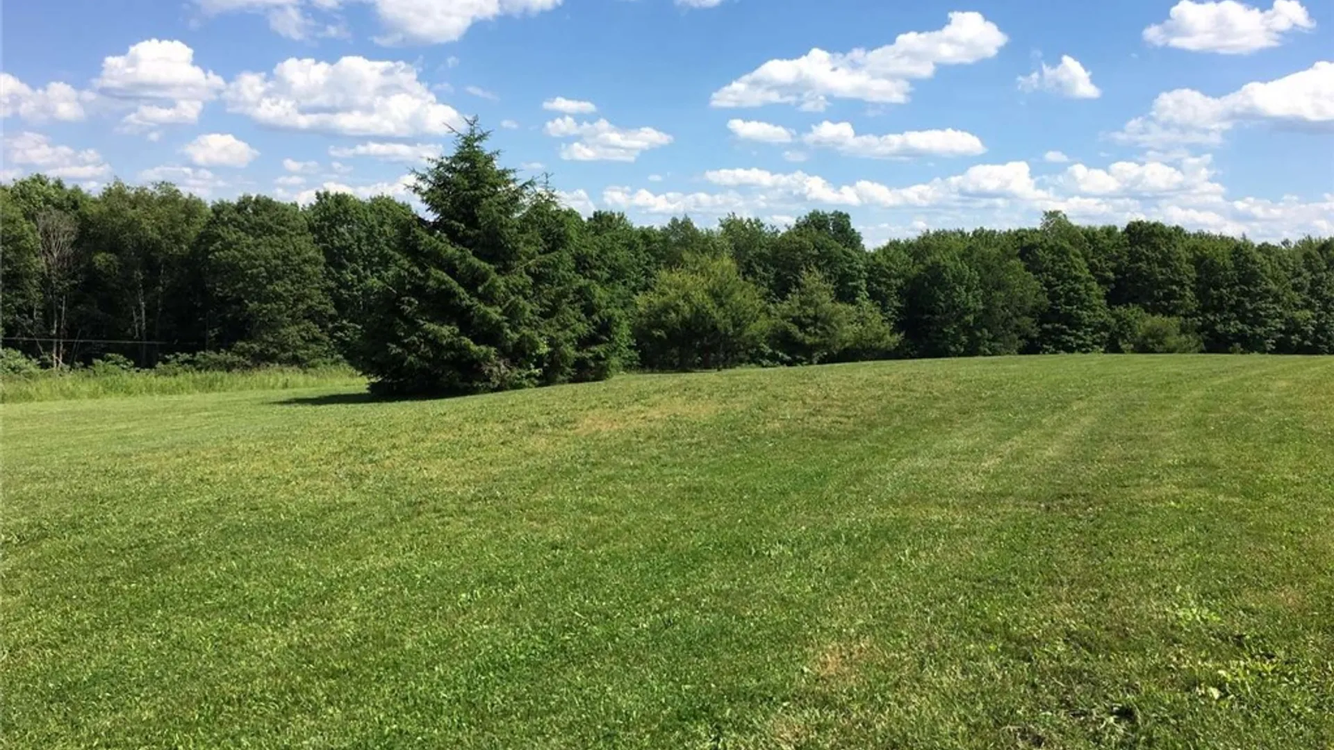 Property at 446 Maples Road, Hartwick, NY 13348 45