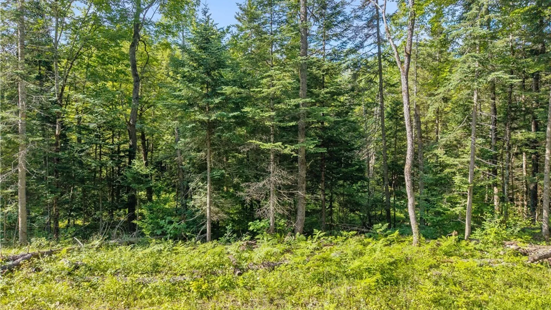 Property at Fish Creek Road, Greig, NY 13345 10