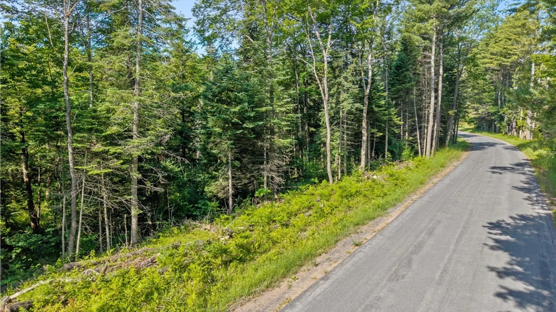 Property at Fish Creek Road, Greig, NY 13345 11
