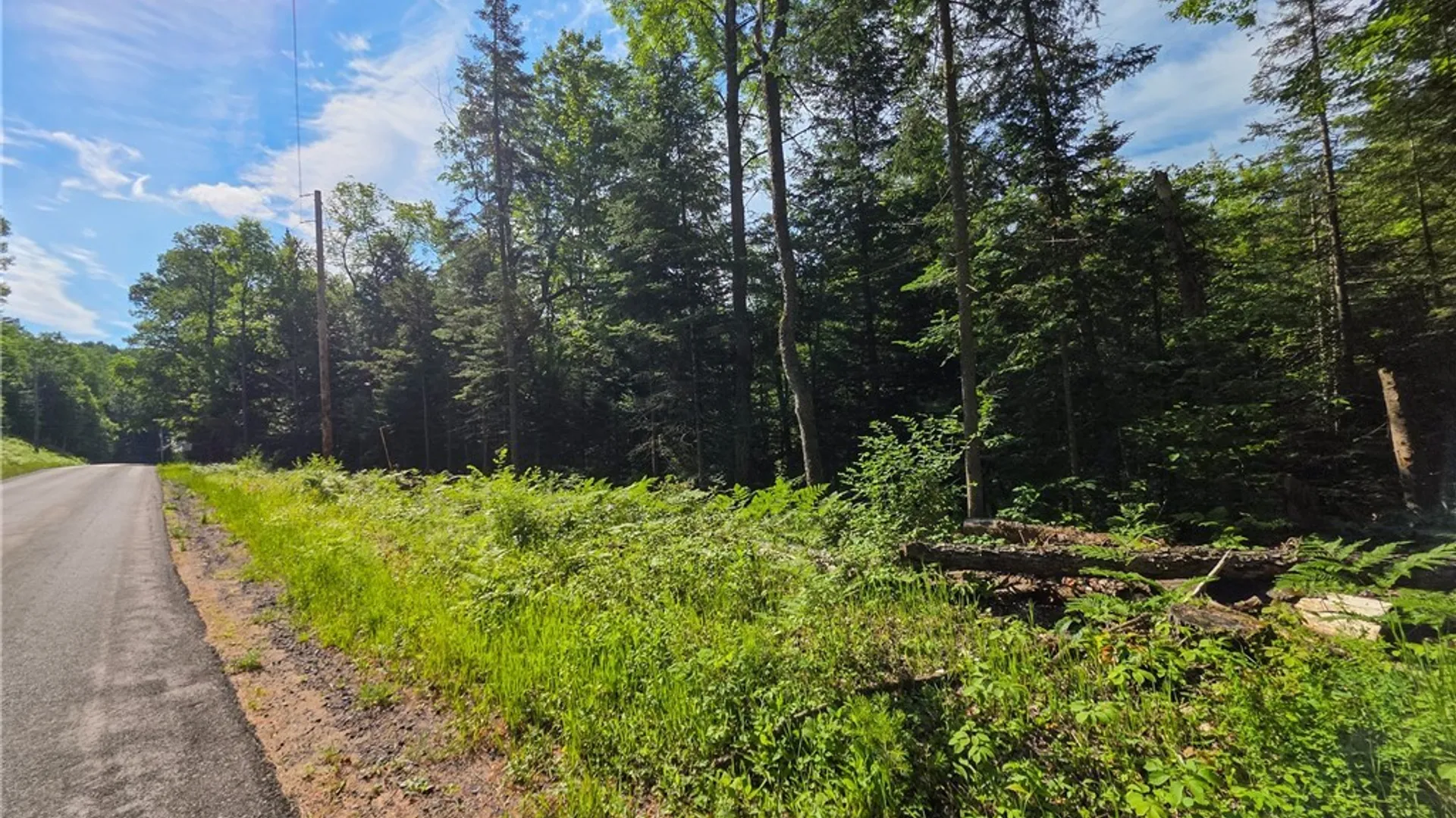 Property at Fish Creek Road, Greig, NY 13345 13