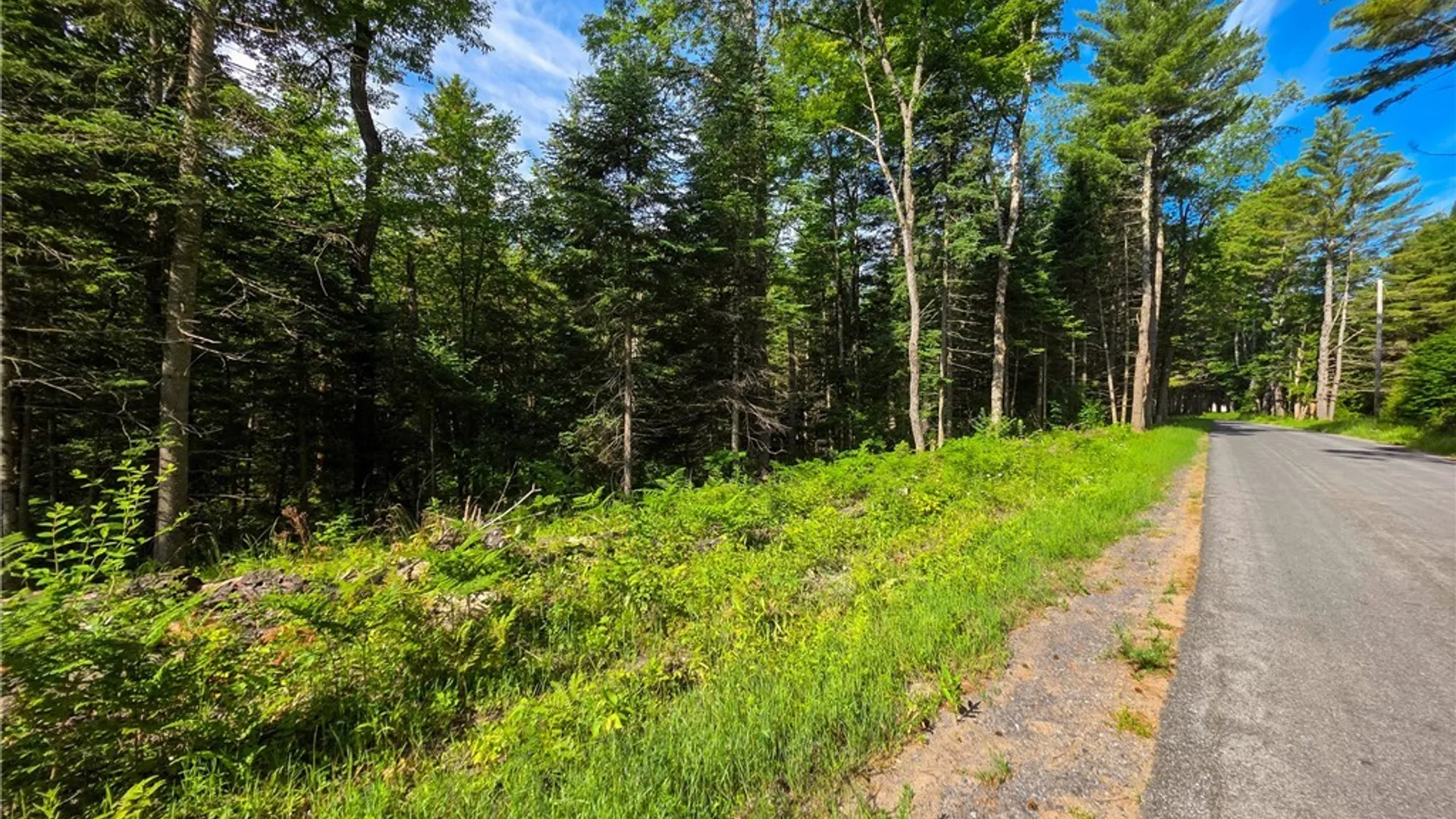 Property at Fish Creek Road, Greig, NY 13345 14