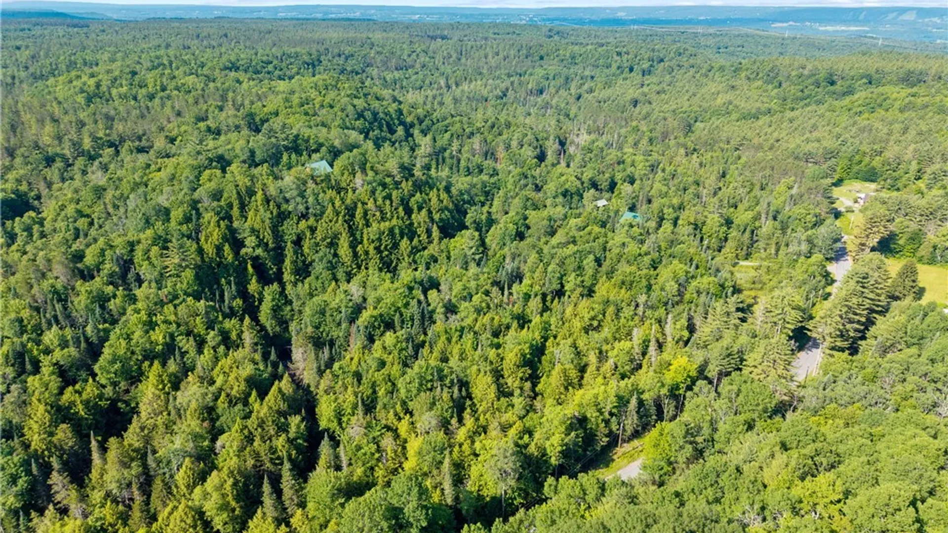 Property at Fish Creek Road, Greig, NY 13345 7