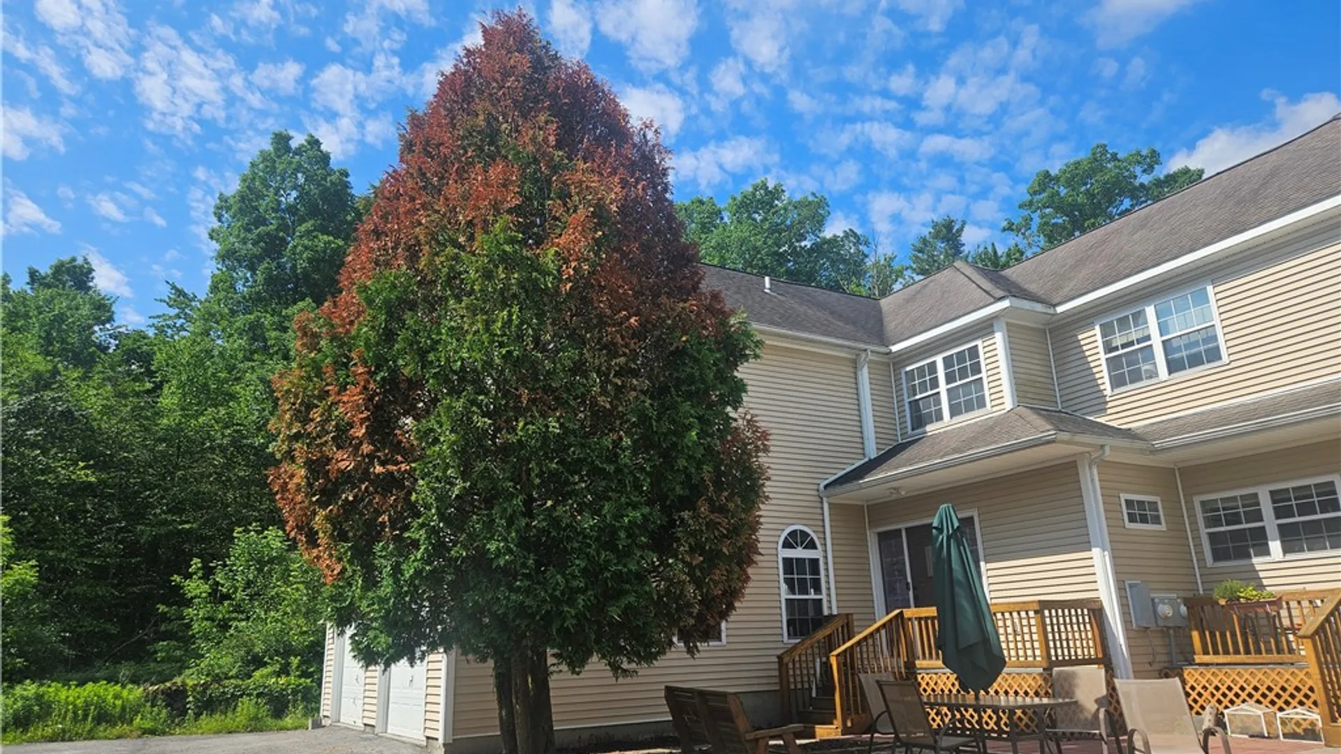 Property at 7 Apt A Sanctuary Drive, Ithaca Town, NY 14850 11