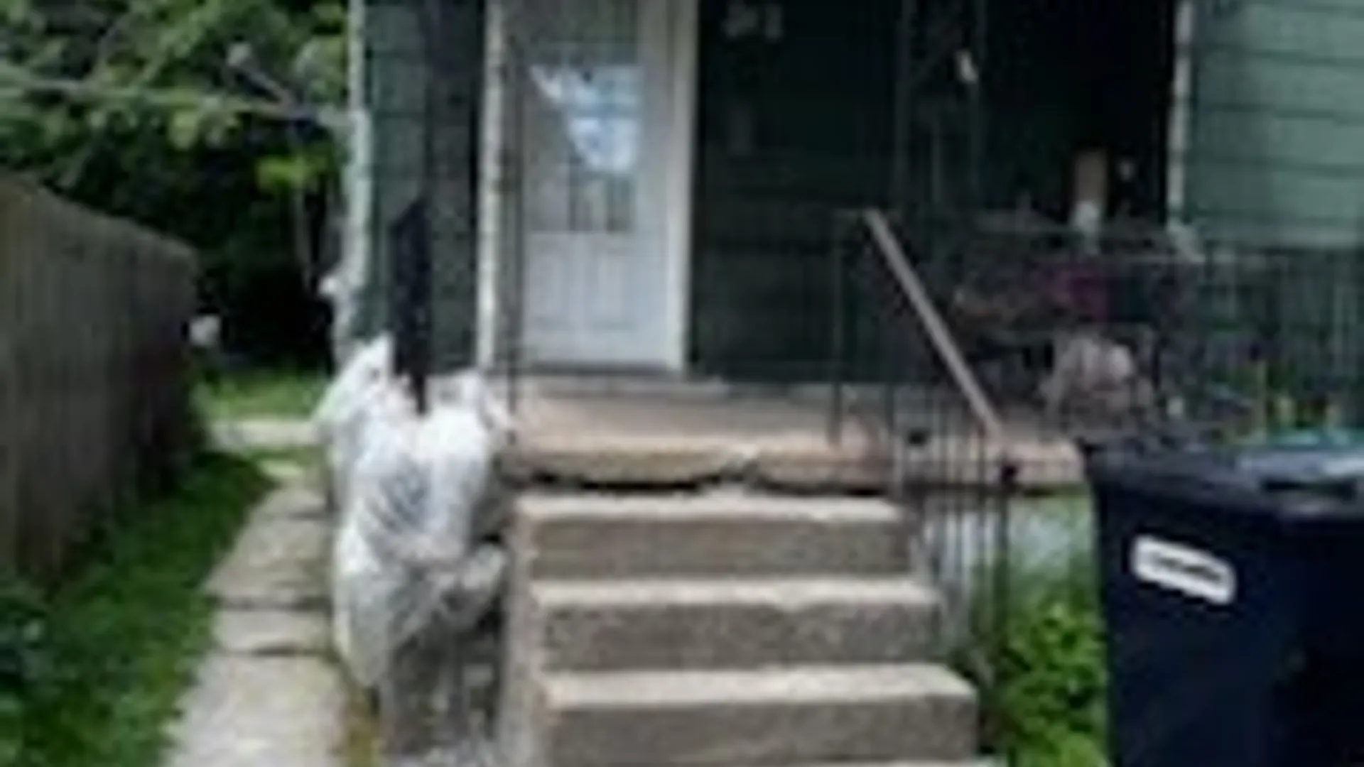 Property at 542 10th Street, Niagara Falls, NY 14301 38