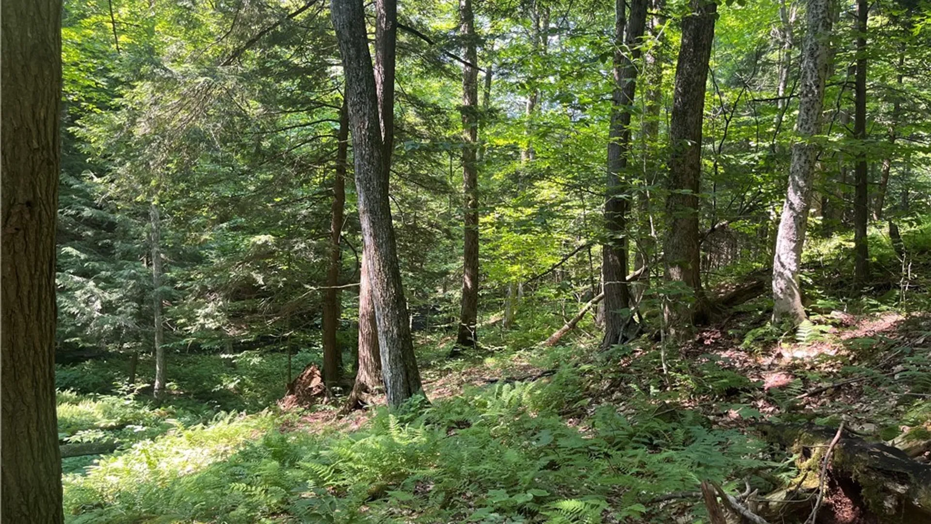 Property at Center Road, Sandy Creek, NY 13083 12