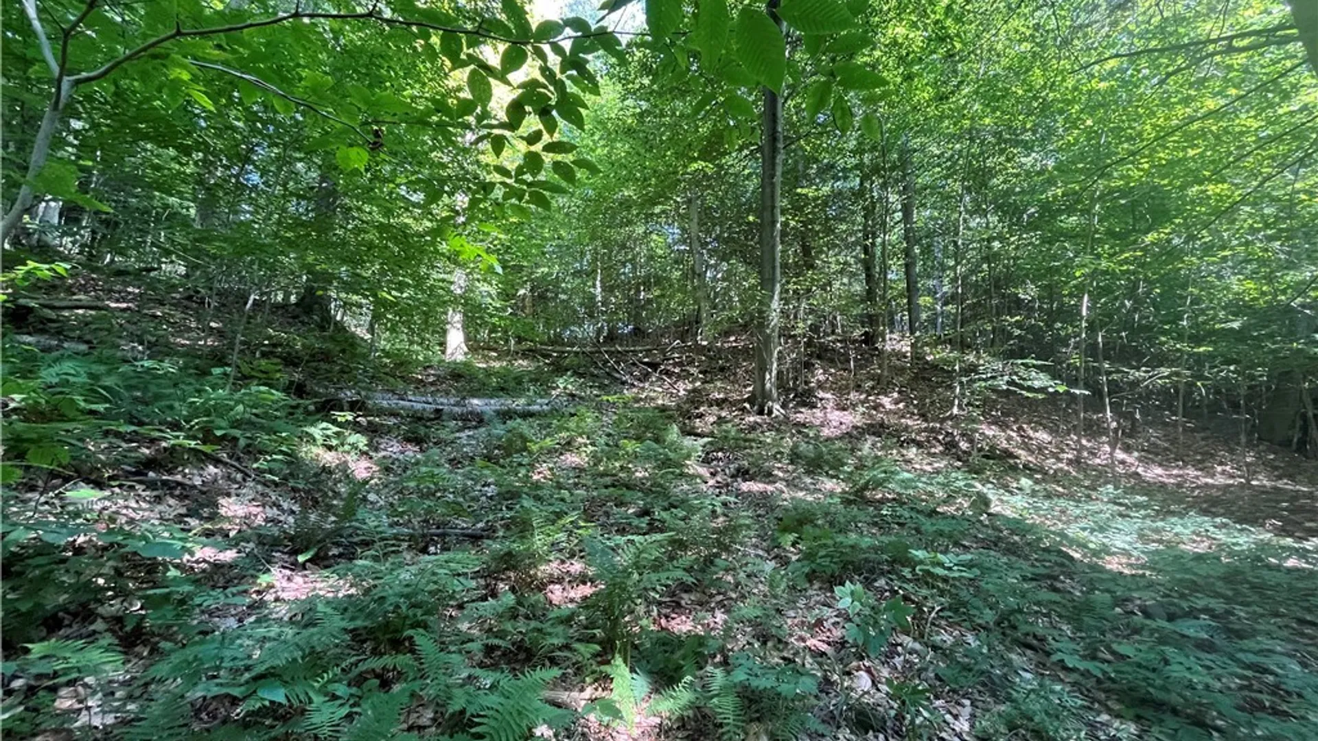 Property at Center Road, Sandy Creek, NY 13083 13