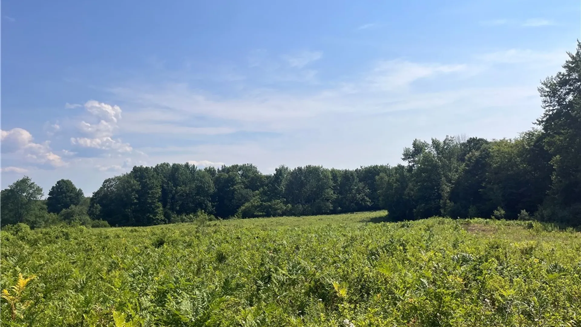 Property at Center Road, Sandy Creek, NY 13083 14