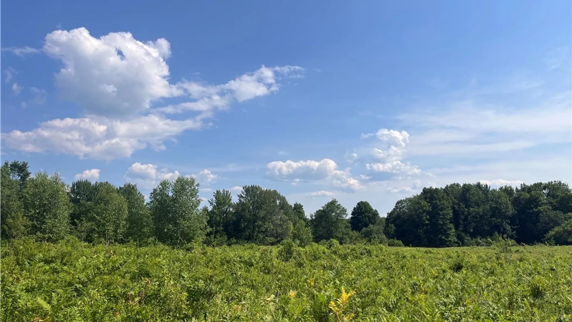 Property at Center Road, Sandy Creek, NY 13083 15