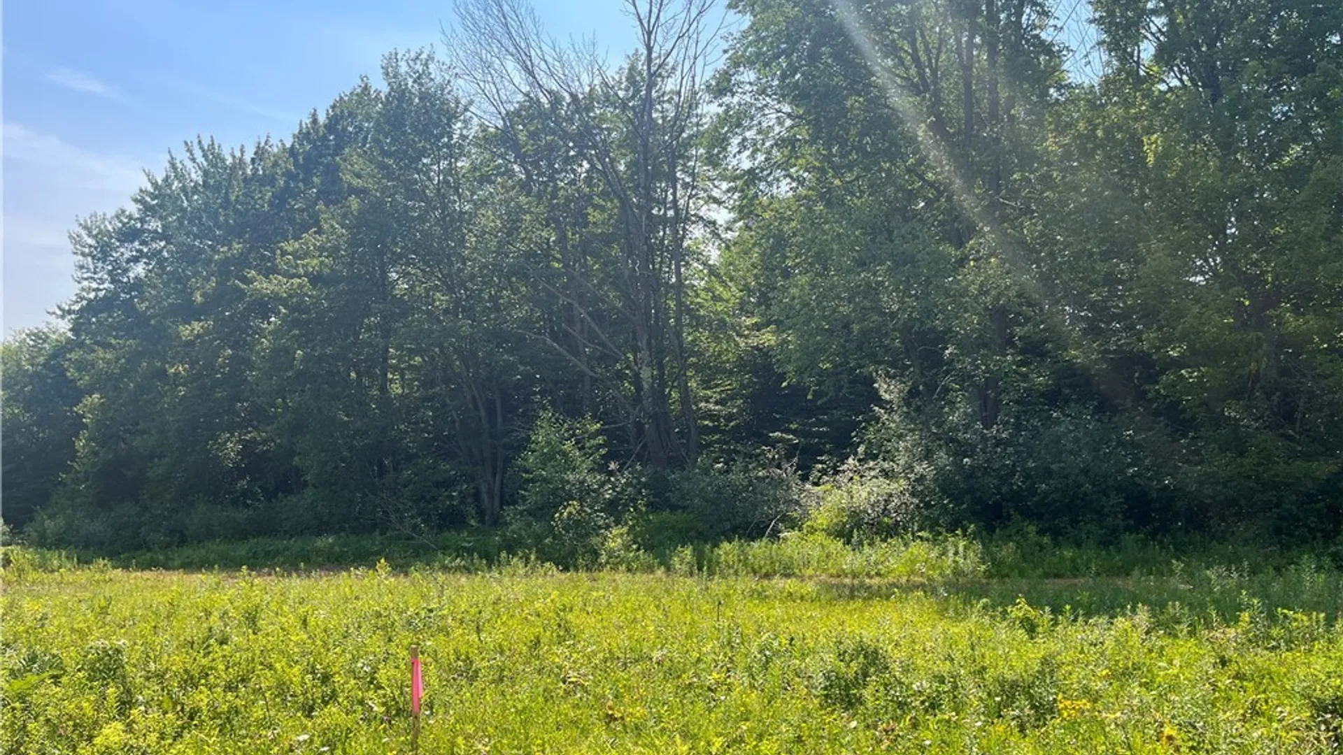 Property at Center Road, Sandy Creek, NY 13083 16