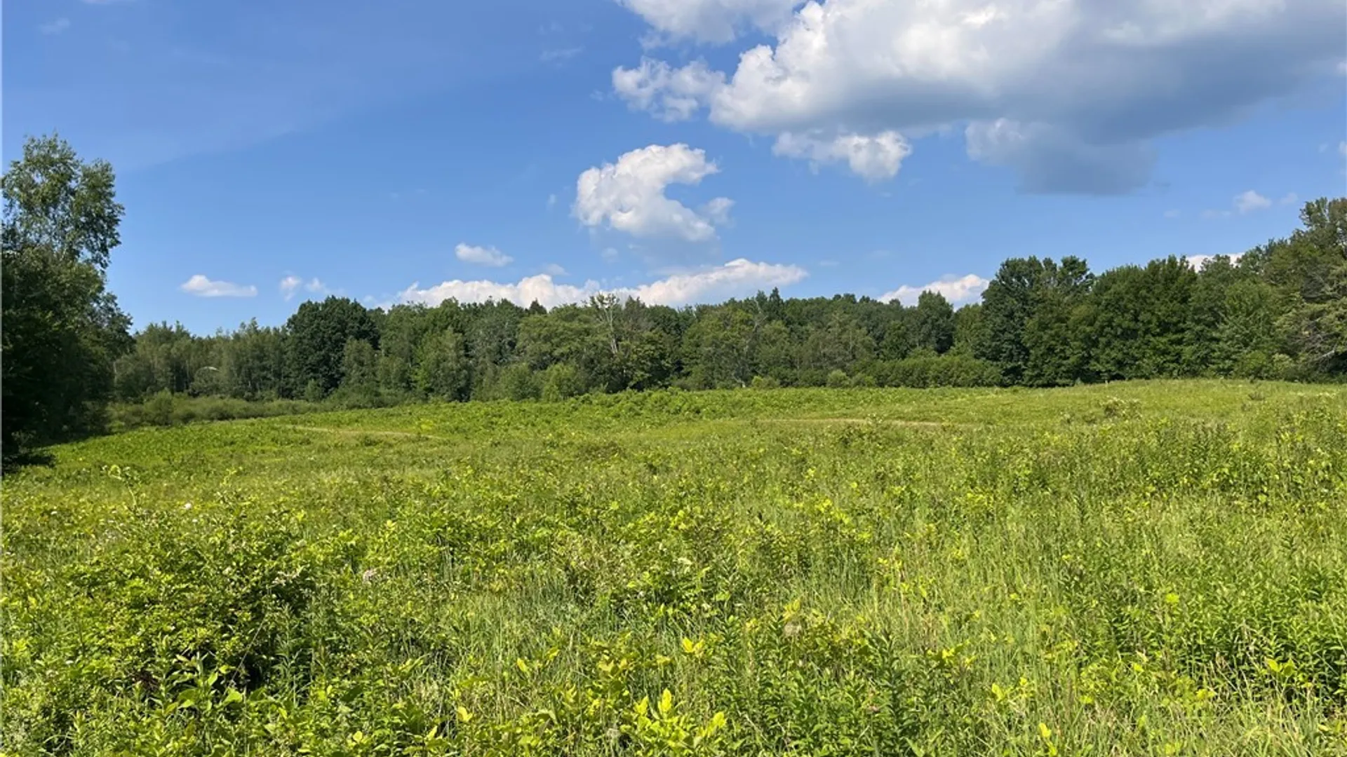 Property at Center Road, Sandy Creek, NY 13083 17