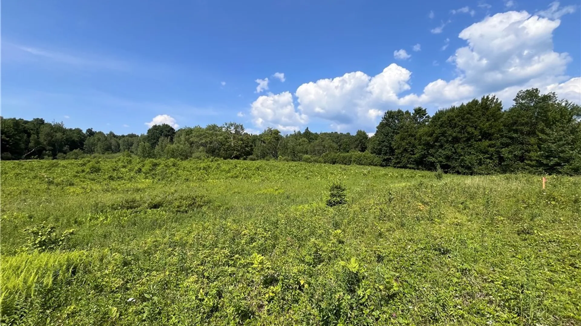 Property at Center Road, Sandy Creek, NY 13083 2