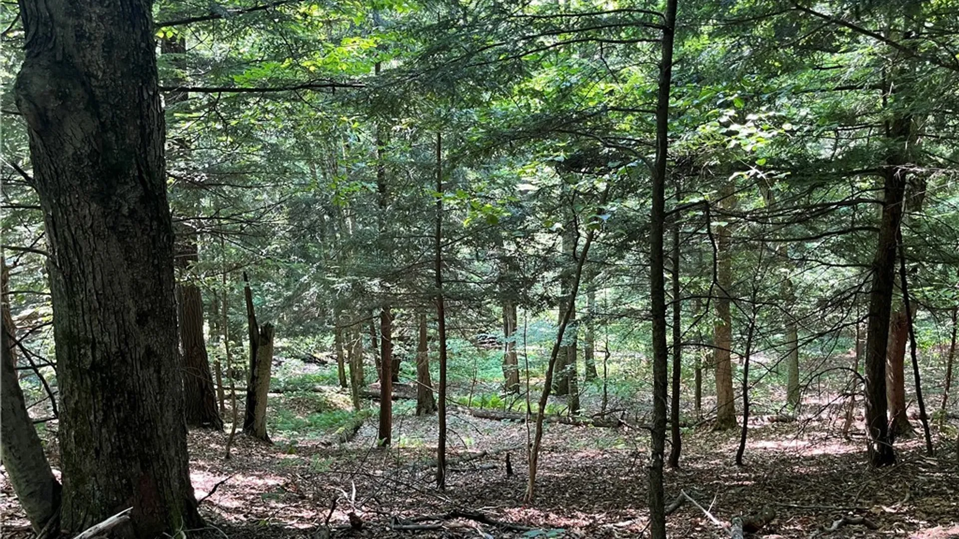 Property at Center Road, Sandy Creek, NY 13083 20