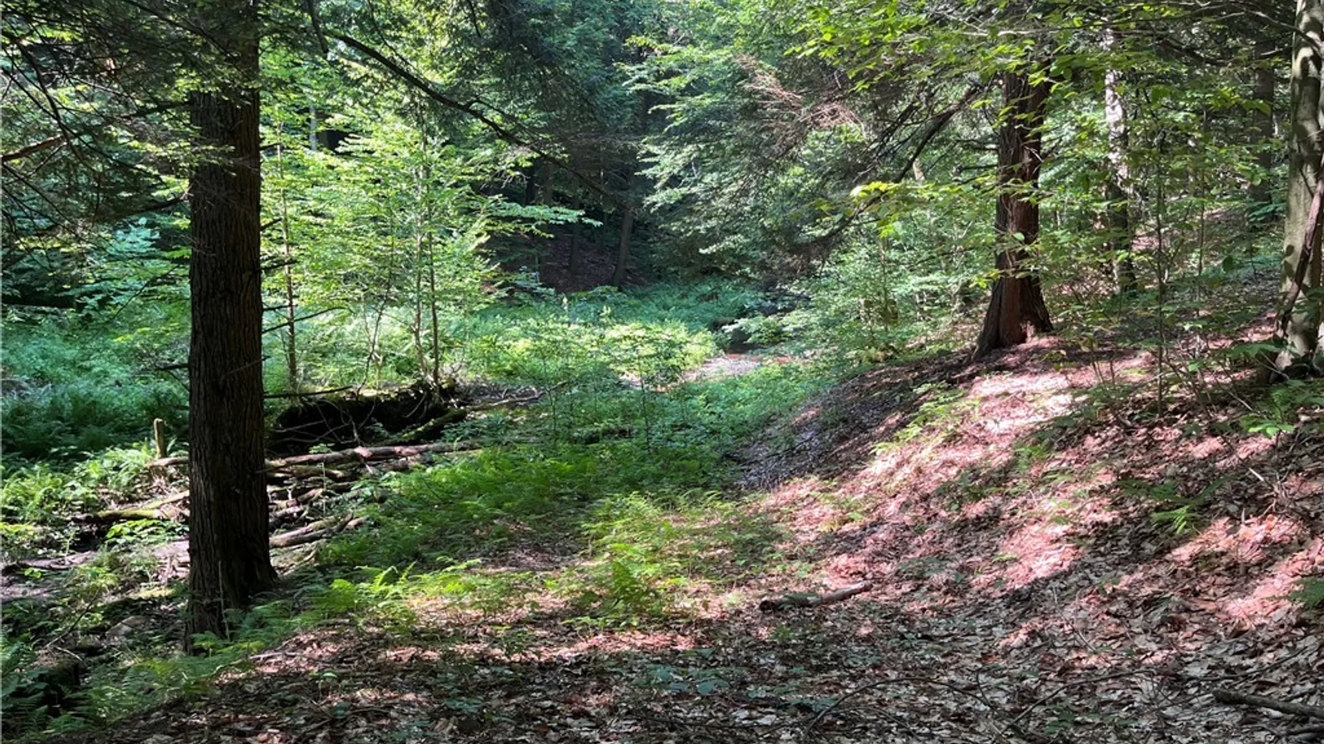 Property at Center Road, Sandy Creek, NY 13083 22
