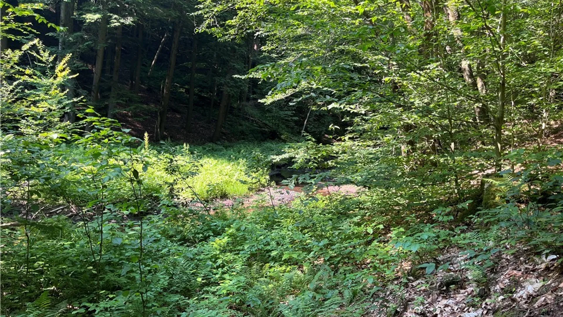 Property at Center Road, Sandy Creek, NY 13083 24