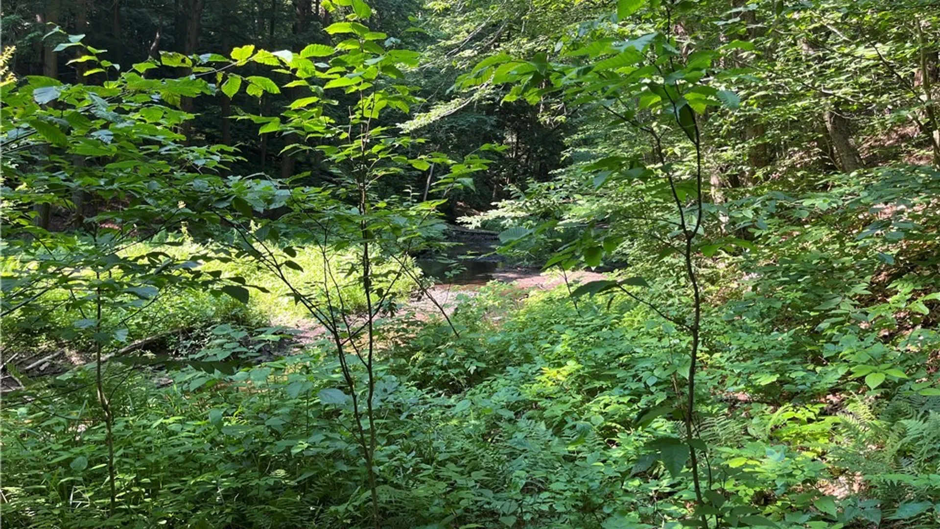 Property at Center Road, Sandy Creek, NY 13083 25