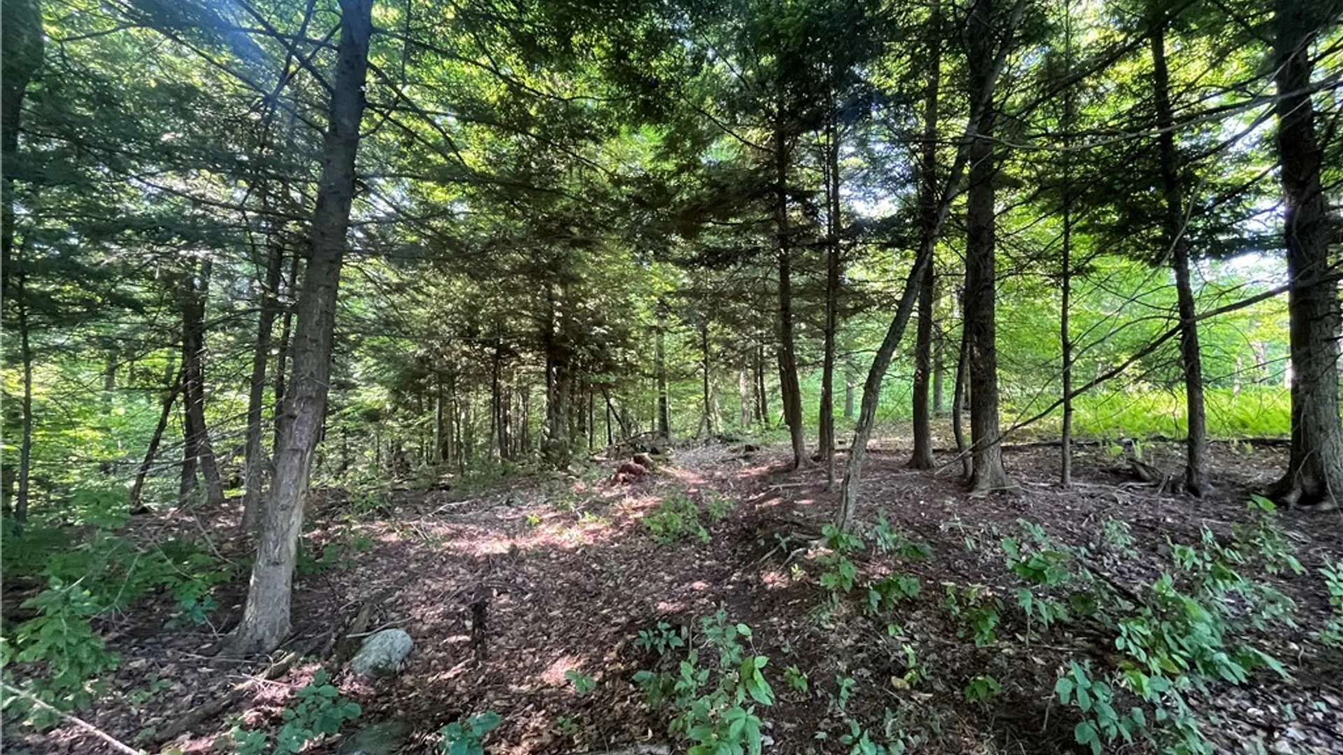Property at Center Road, Sandy Creek, NY 13083 27