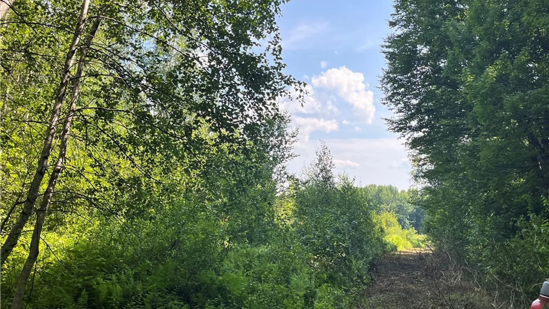 Property at Center Road, Sandy Creek, NY 13083 3