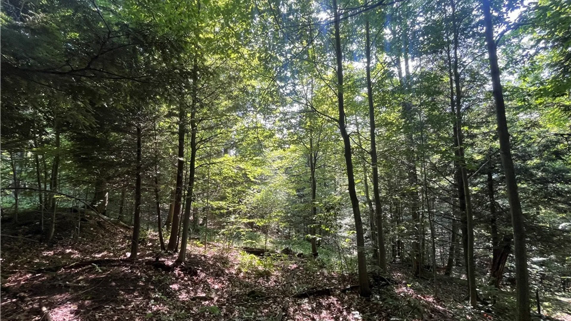 Property at Center Road, Sandy Creek, NY 13083 31