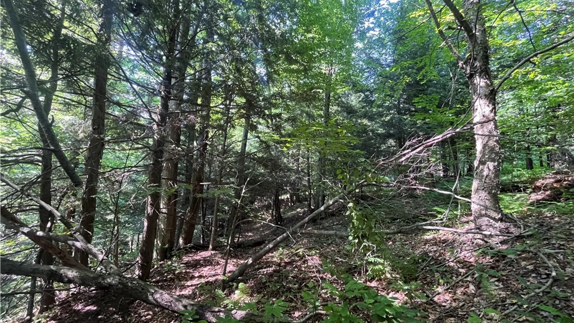 Property at Center Road, Sandy Creek, NY 13083 32