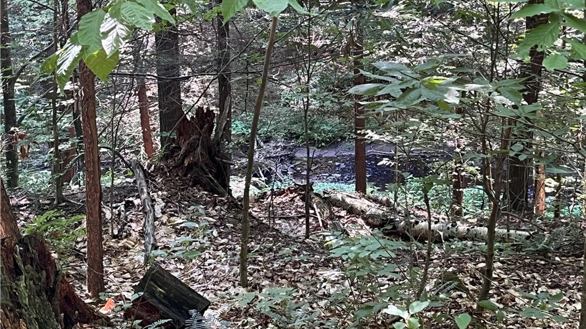Property at Center Road, Sandy Creek, NY 13083 33