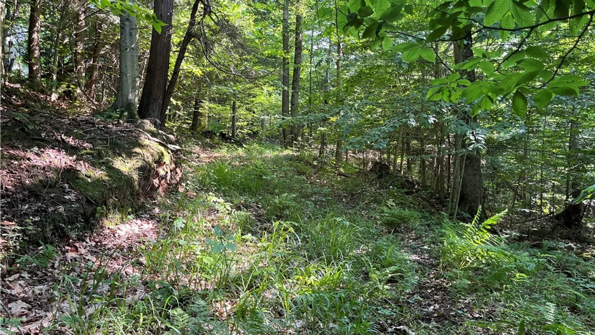 Property at Center Road, Sandy Creek, NY 13083 34
