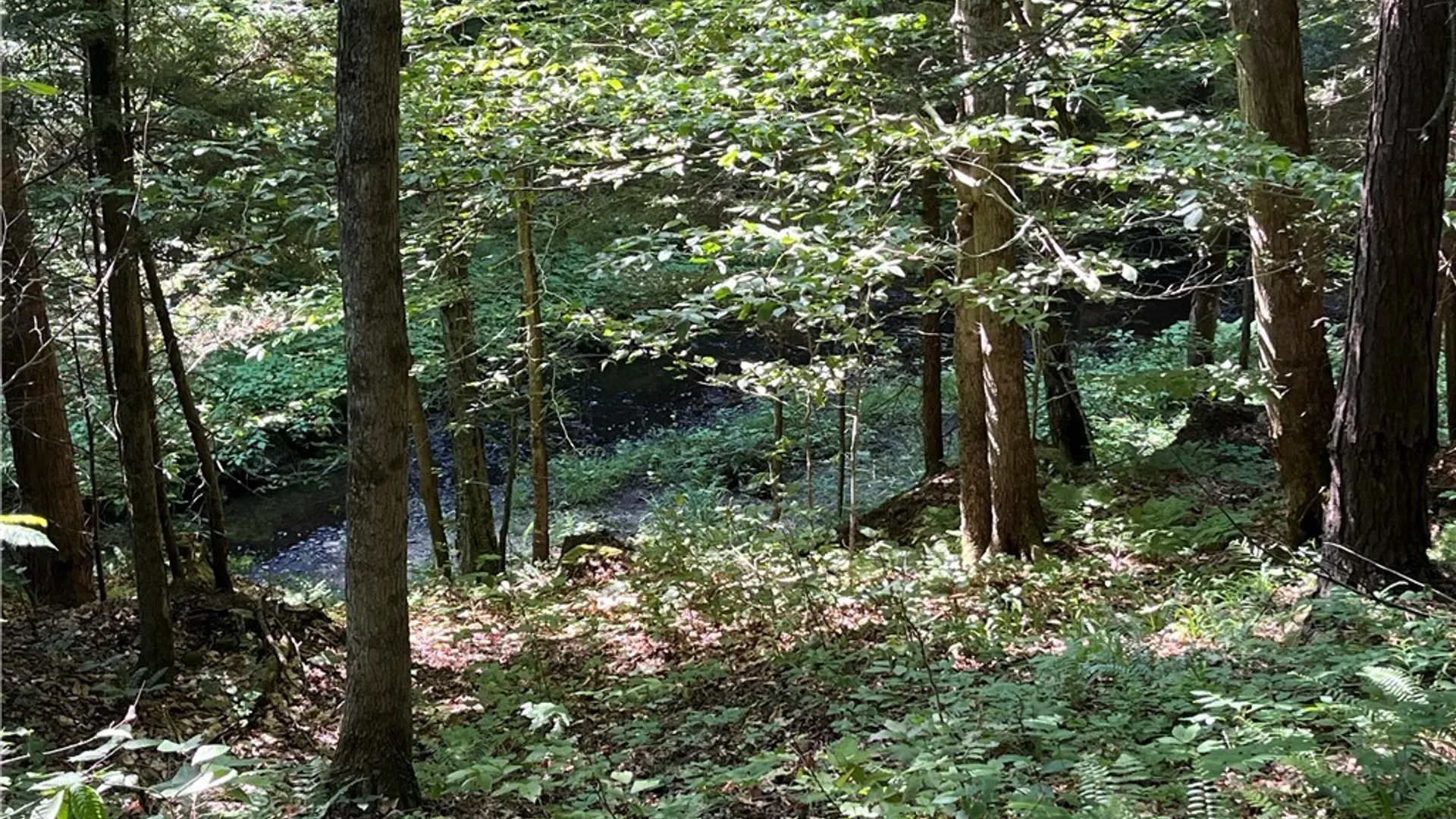 Property at Center Road, Sandy Creek, NY 13083 35