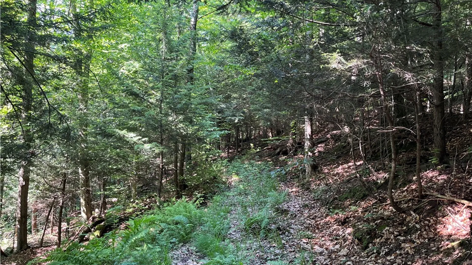 Property at Center Road, Sandy Creek, NY 13083 36