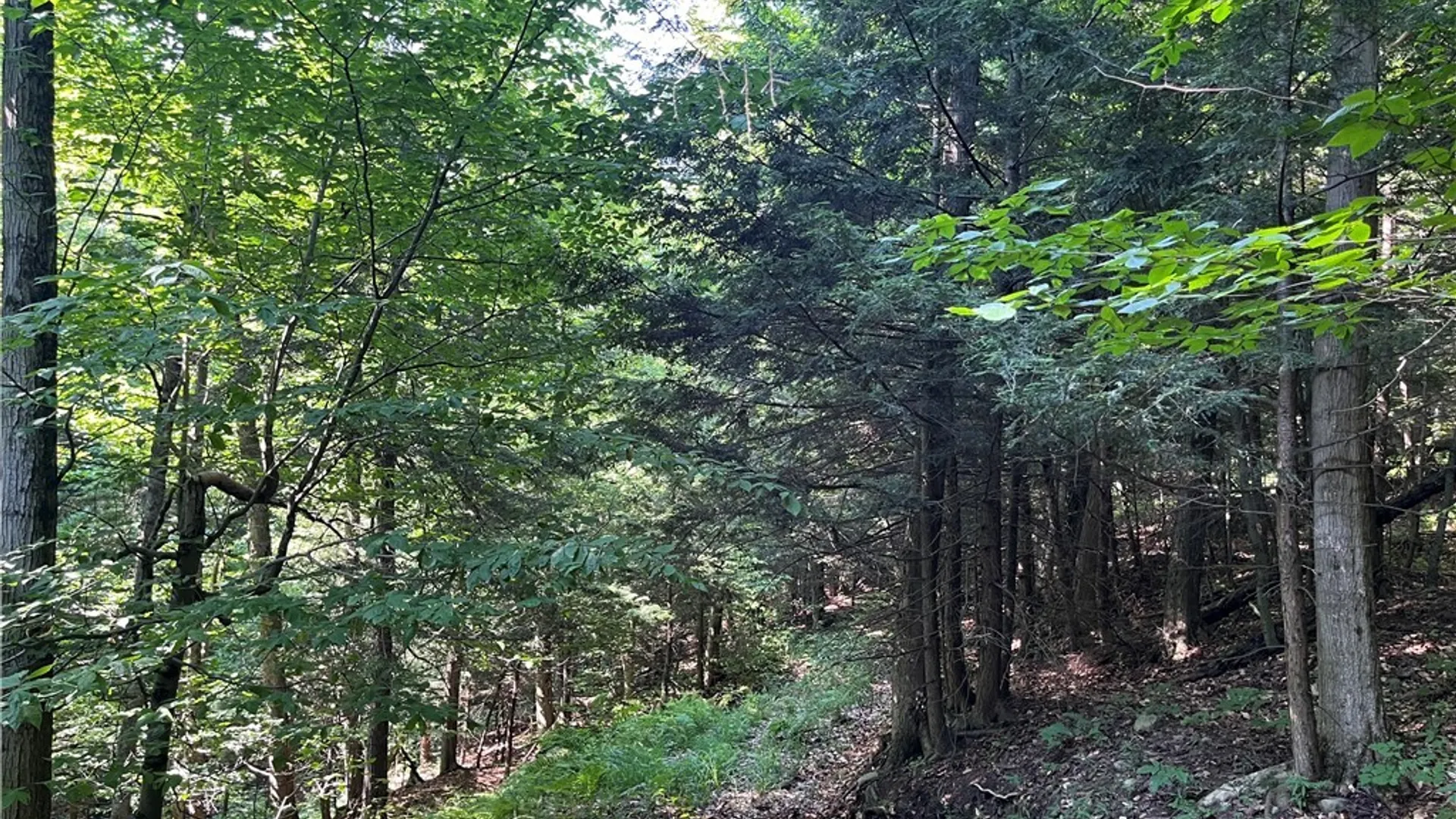 Property at Center Road, Sandy Creek, NY 13083 38