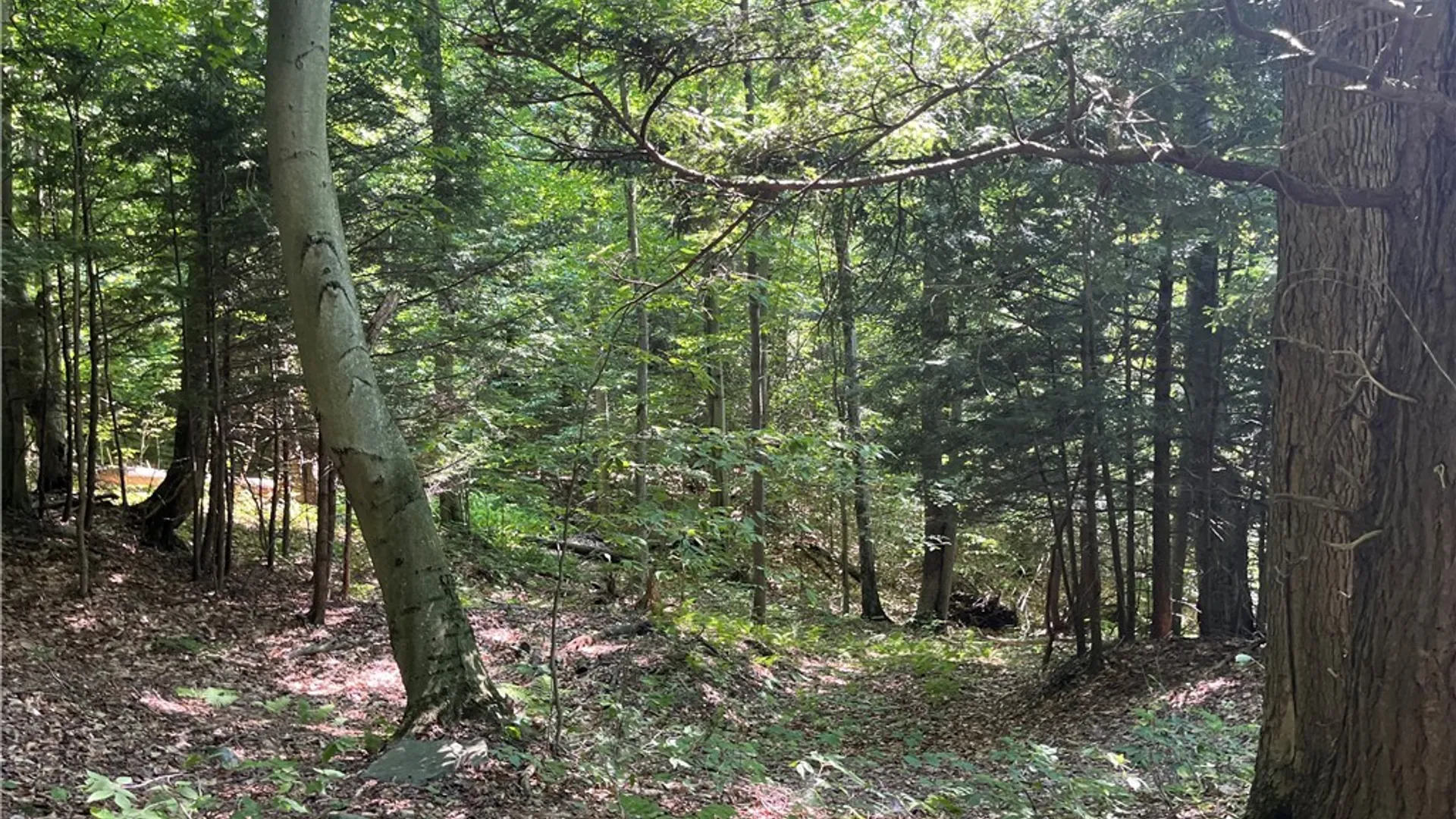 Property at Center Road, Sandy Creek, NY 13083 5