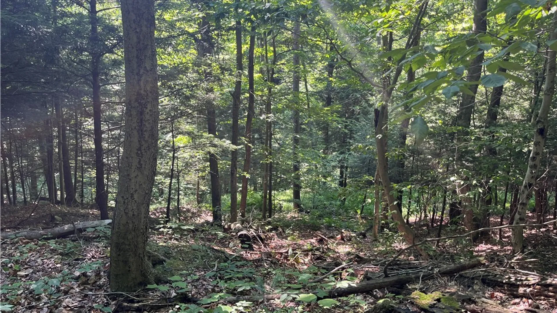 Property at Center Road, Sandy Creek, NY 13083 6