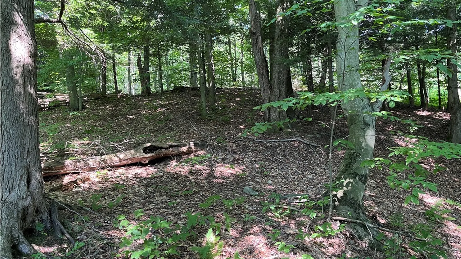 Property at Center Road, Sandy Creek, NY 13083 8