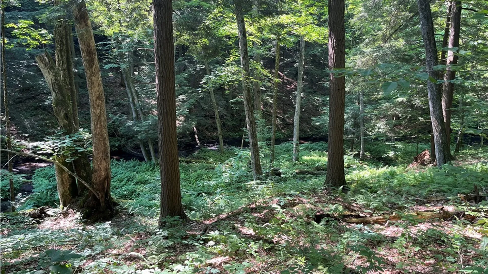 Property at Center Road, Sandy Creek, NY 13083 9