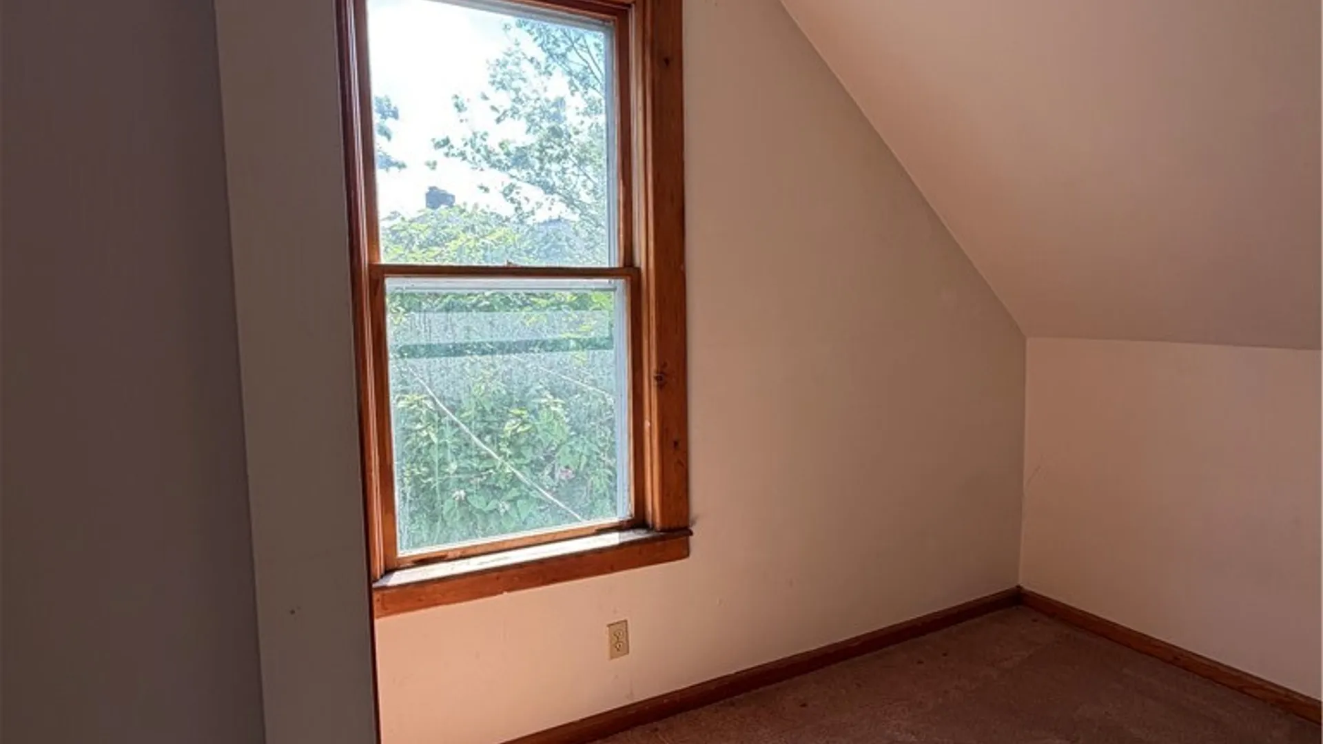 Property at 1005 Elmwood Avenue, Buffalo, NY 14222 13