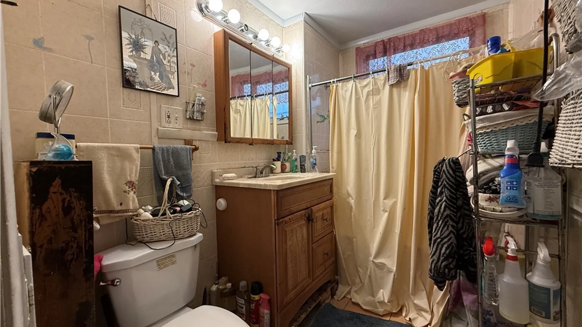 Property at 87 Walden Avenue, Buffalo, NY 14211 13
