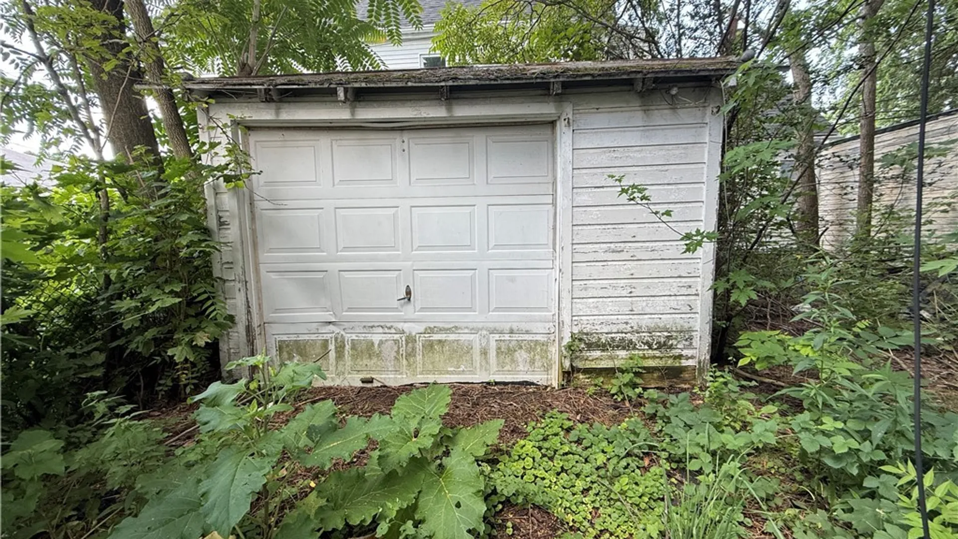 Property at 87 Walden Avenue, Buffalo, NY 14211 21