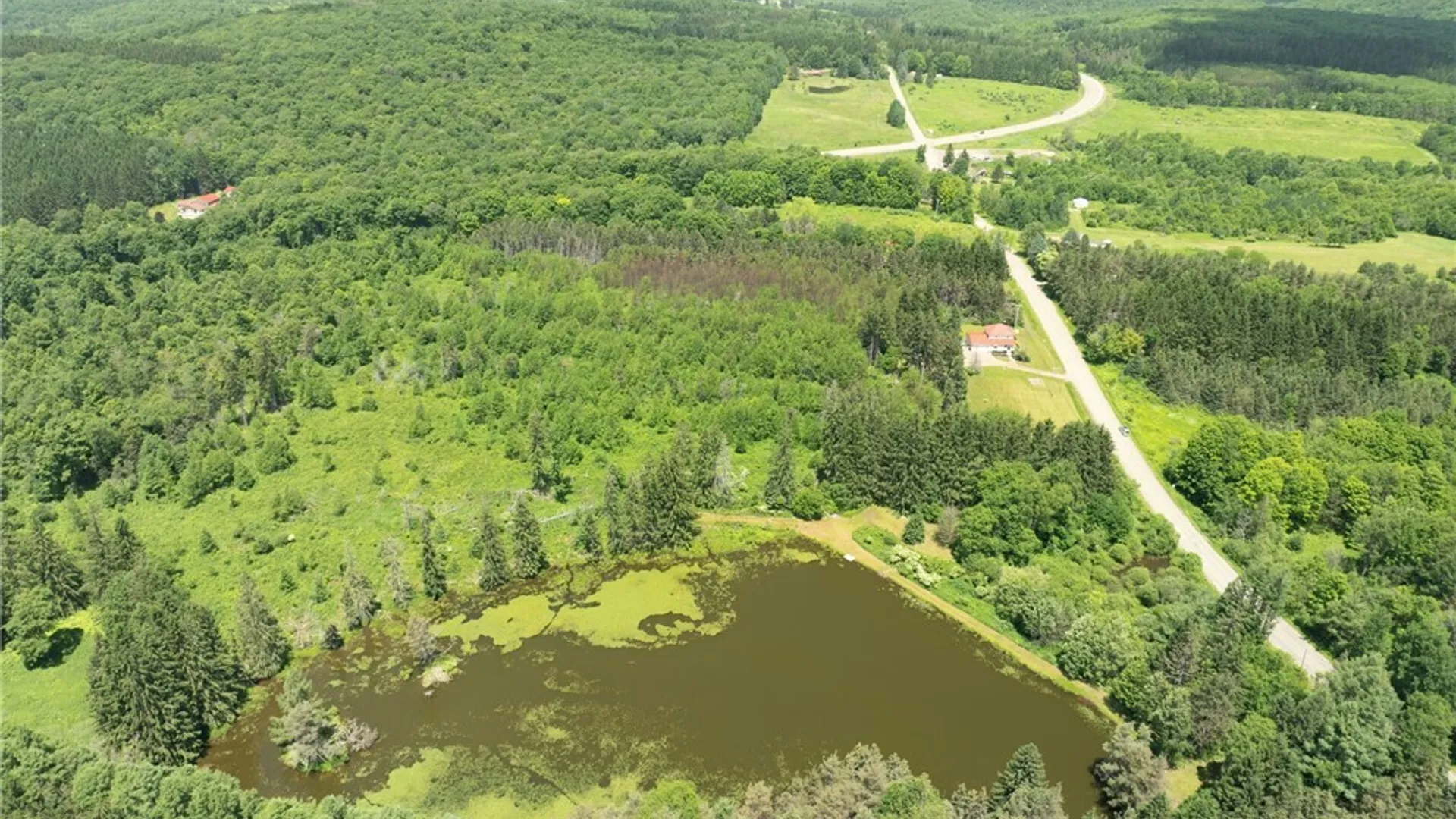Property at 7961 Irish Hill Road, Ellicottville, NY 14731 41
