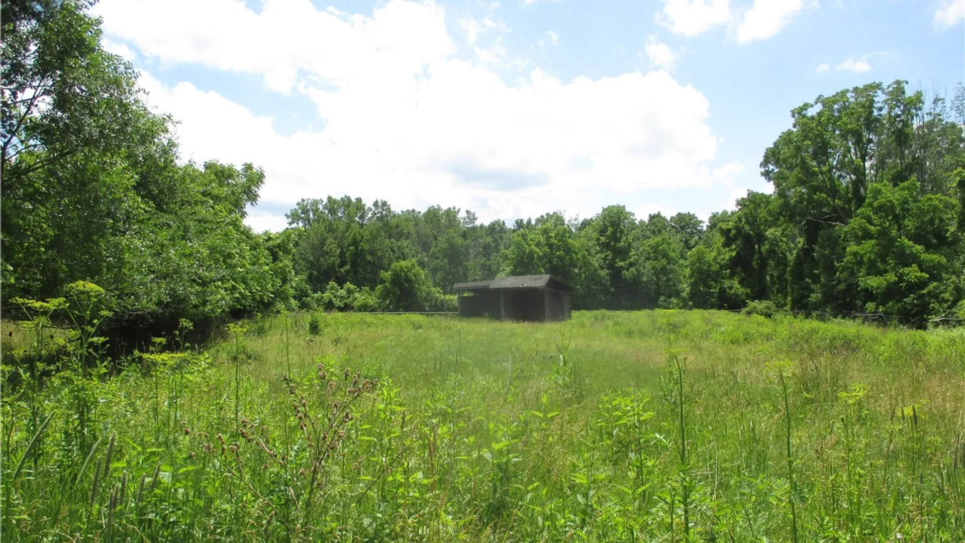 Property at 3560 Silvernail Road, East Bloomfield, NY 14469 11