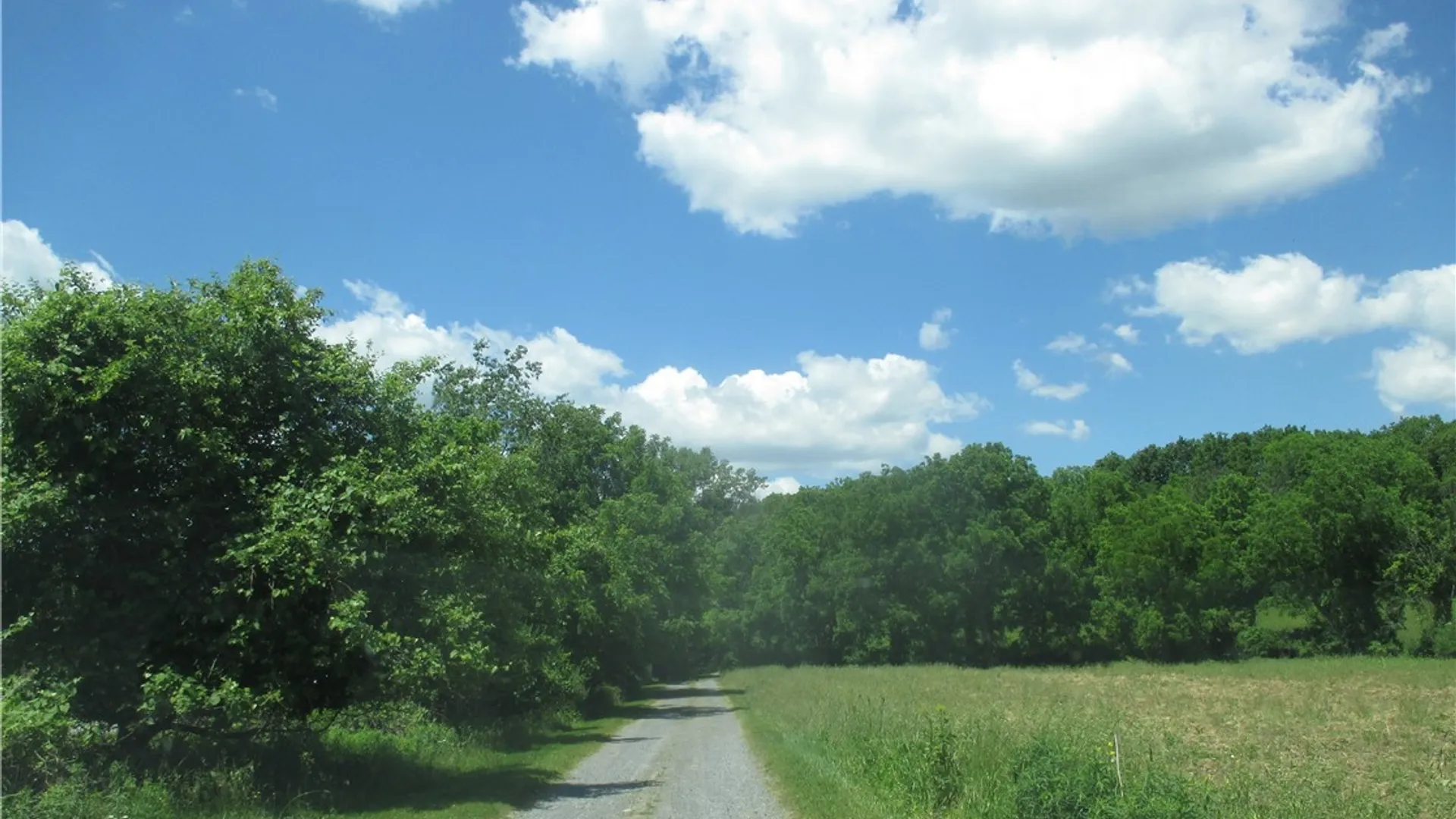 Property at 3560 Silvernail Road, East Bloomfield, NY 14469 2