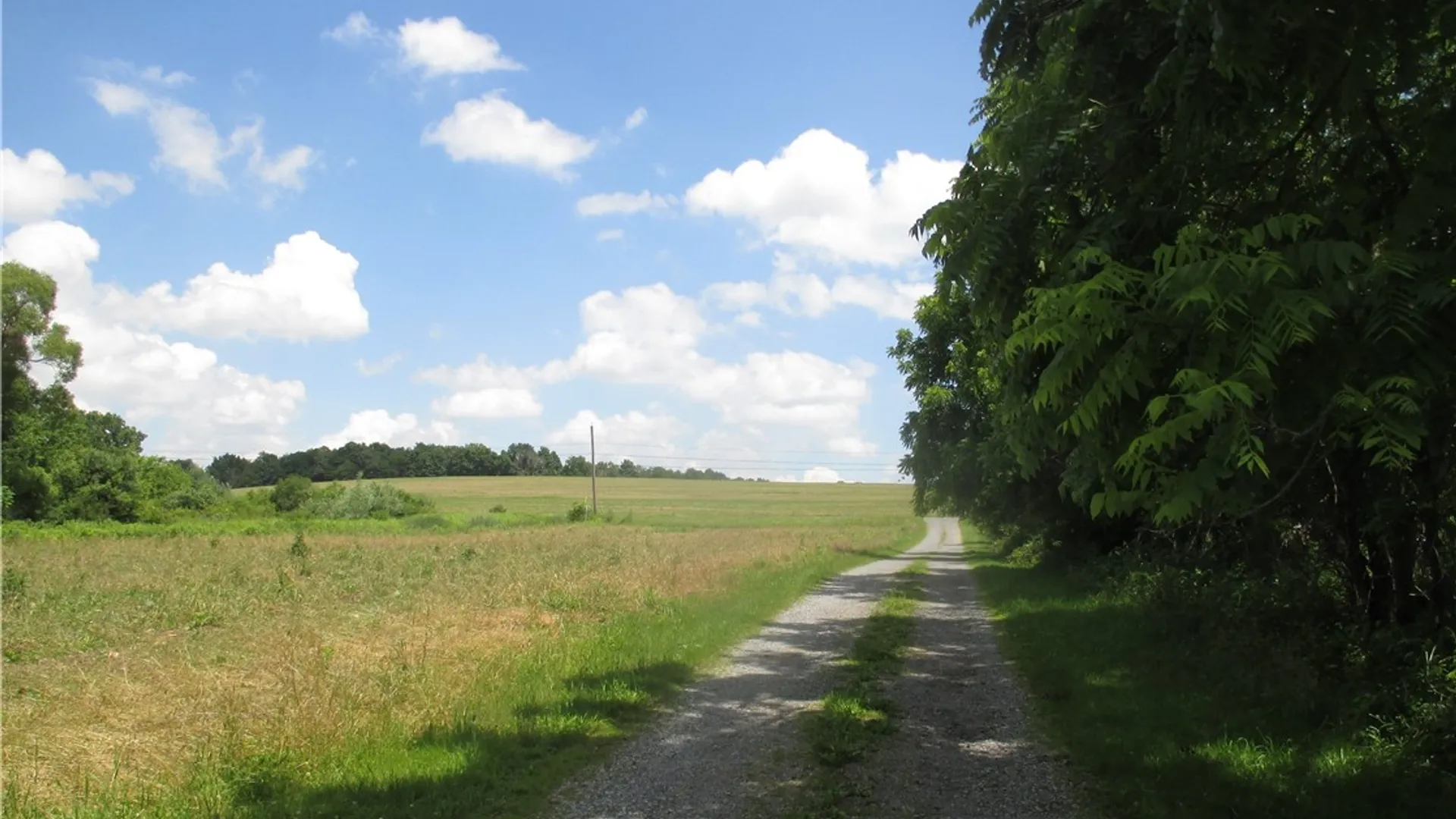 Property at 3560 Silvernail Road, East Bloomfield, NY 14469 3
