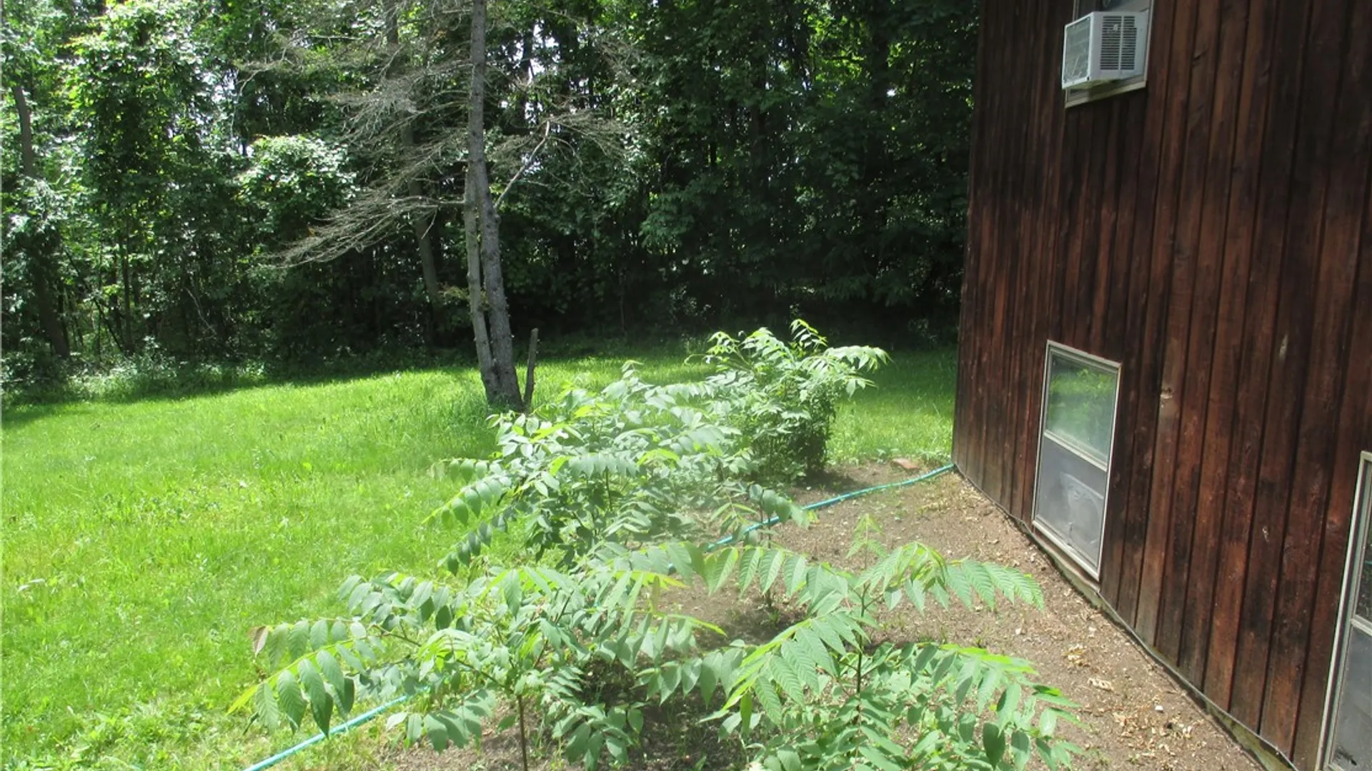 Property at 3560 Silvernail Road, East Bloomfield, NY 14469 7